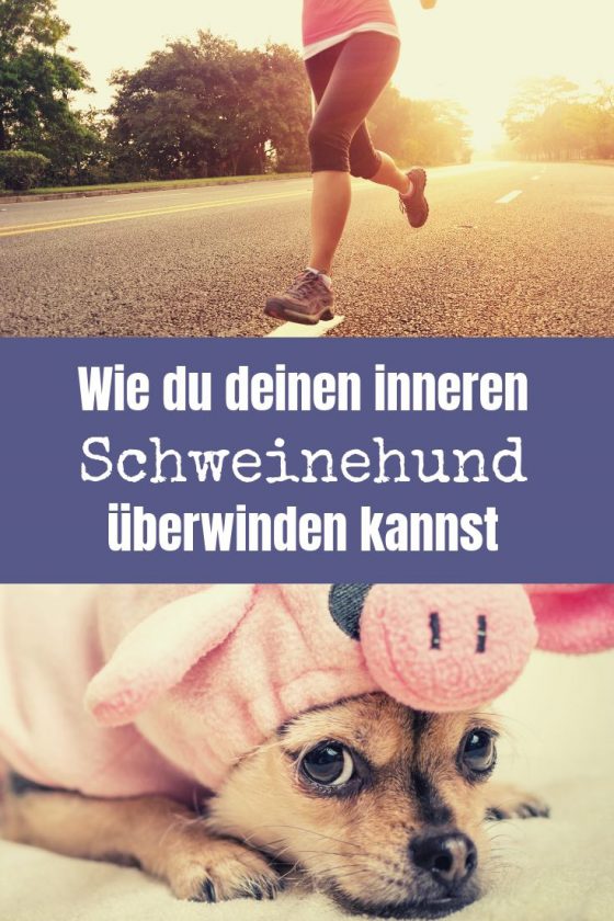 Schweinehund überwinden Wie du endlich erfolgreich wirst