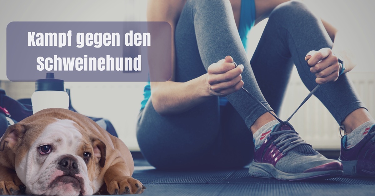 Schweinehund: Warum du den Kampf so oft verlierst